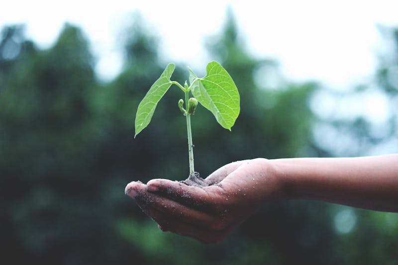 Soil Moisture Stop